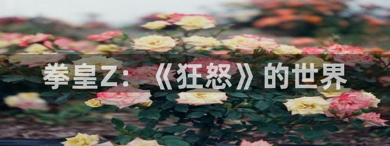亲亲漫画官网：拳皇Z：《狂怒》的世界